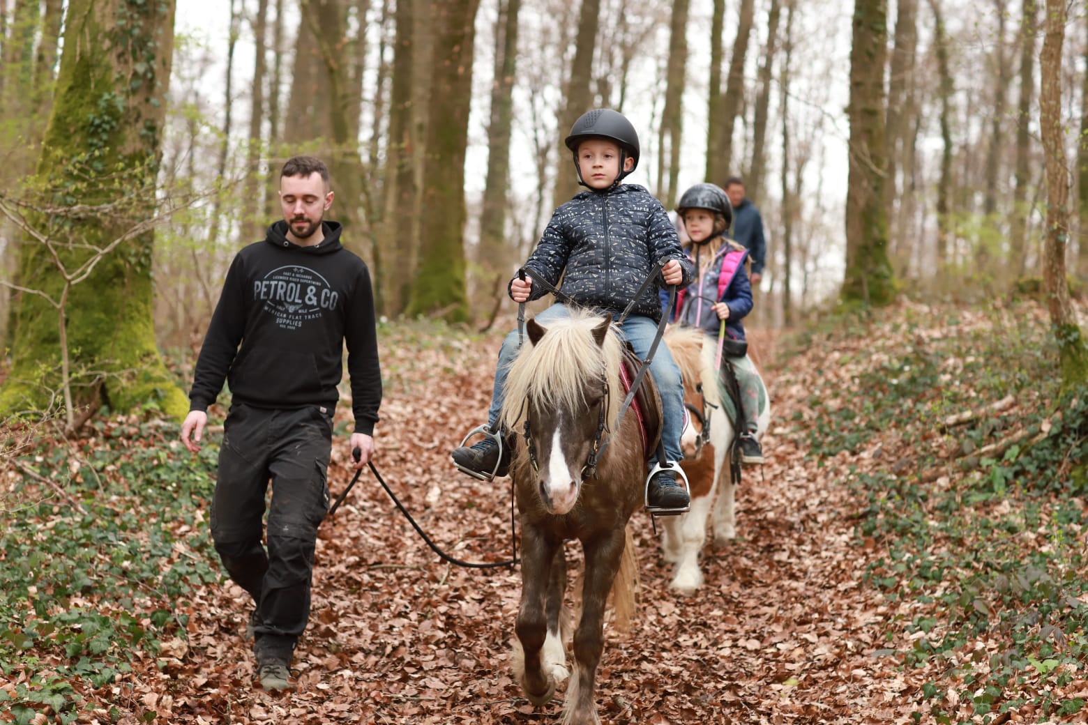 Découverte éthologique des poneys en forêt pour enfants – Inscription en ligne