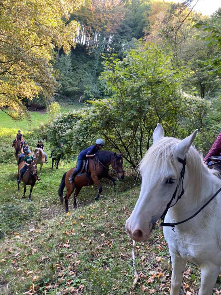 balade en forêt de Verdun