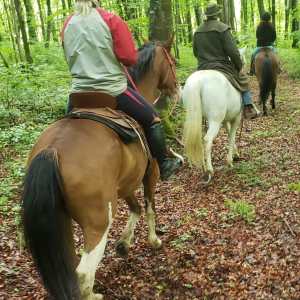 Balade accompagnée avec votre cheval de la ferme 2 h