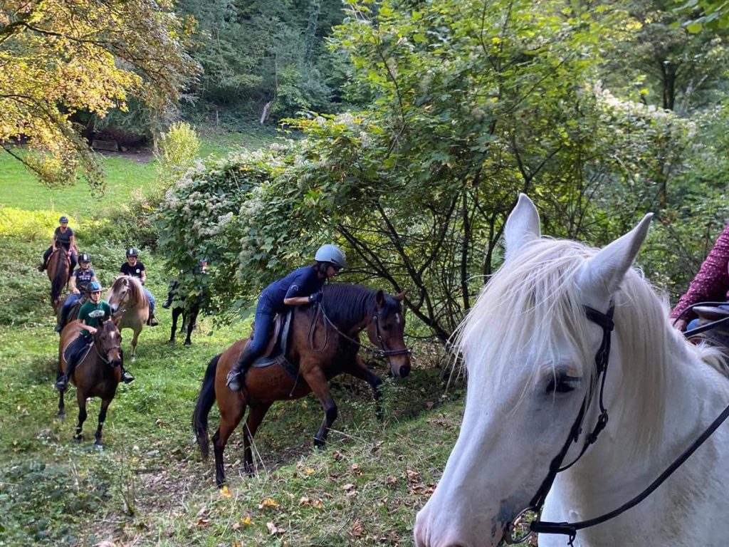 balade en forêt de Verdun