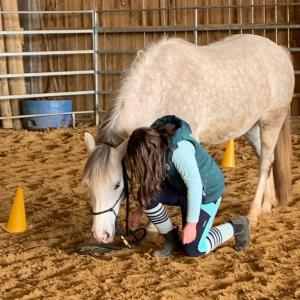 Savoir 1 Comprendre et Aborder le cheval Pratique 6 avril 2026