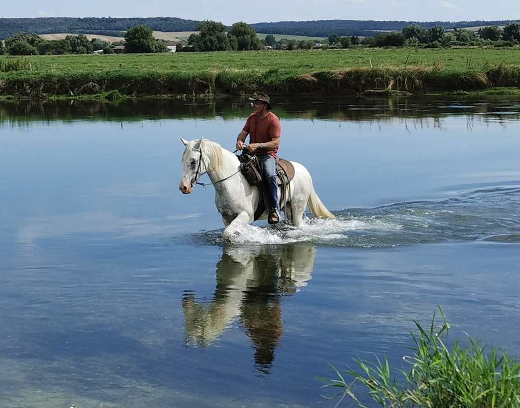 Rand'eau à cheval : En Vallée de Meuse le 28 juin 2026