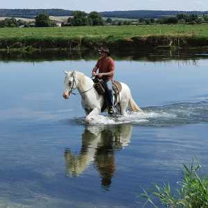 Rand'eau à cheval : En Vallée de Meuse le 31 aout 2025