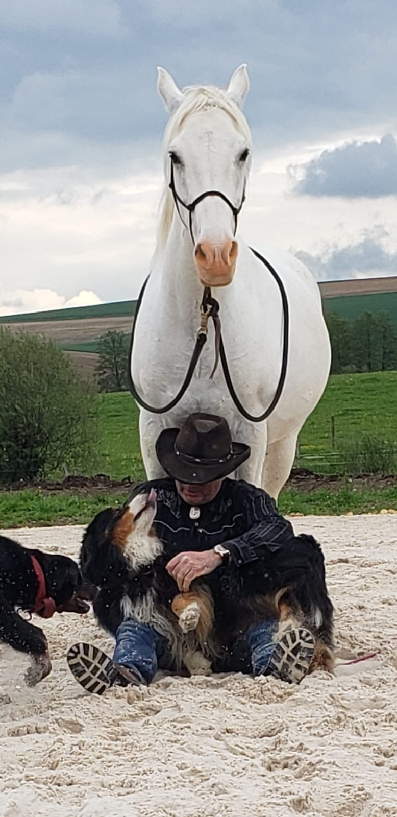 Monter à cheval en licol éthologique le 13 juillet.