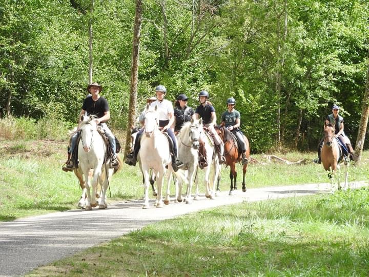 Balade à cheval sur les chemins de la bataille de Verdun.