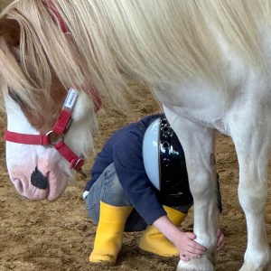 Premier Contact Poney