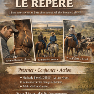 Stage Devenir le repère les 1,2et 3 mai 2026