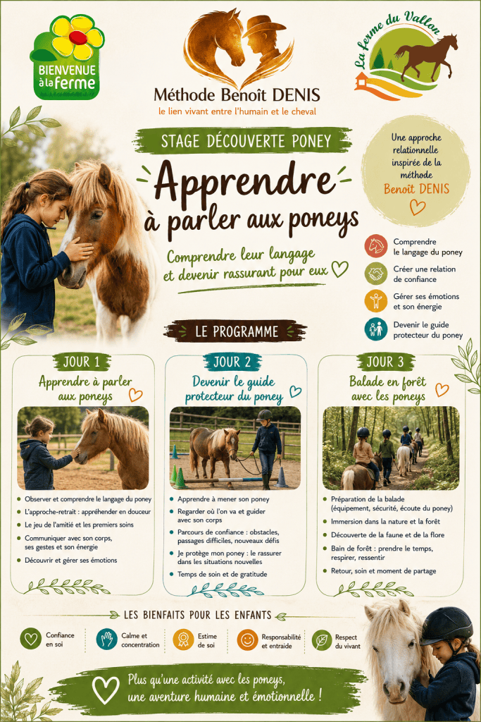 Stage Apprendre à Parler aux Poneys du 22 au 24 juillet 2026