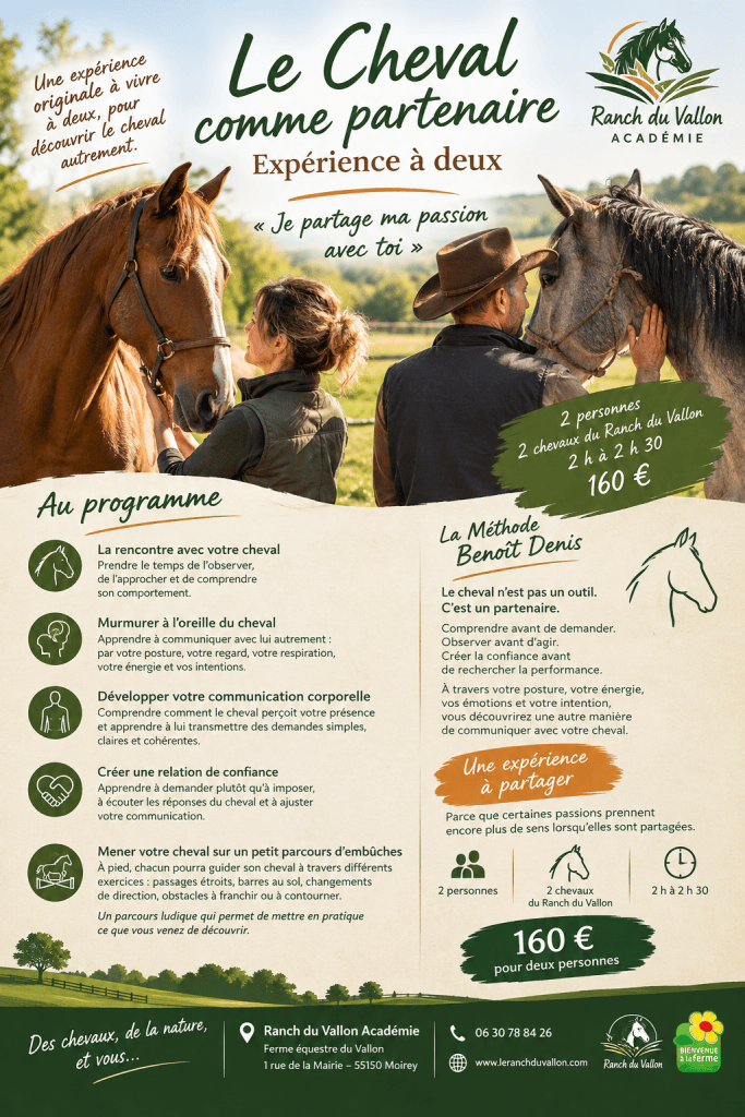 LE CHEVAL COMME PARTENAIRE – EXPÉRIENCE À DEUX
